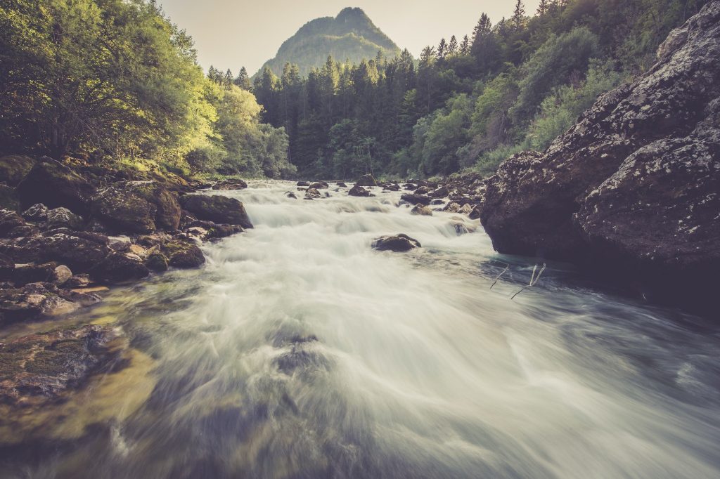 Flood Damage And Recovery In Pajaro Watershed: Understanding The Process